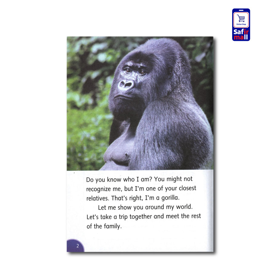 کتاب داستان انگلیسی سطح 4 Go, Gorillas, Go - تصویر 3